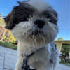 luvmyozzie